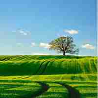 ai助‌手‍哪‍个‌好​用﻿